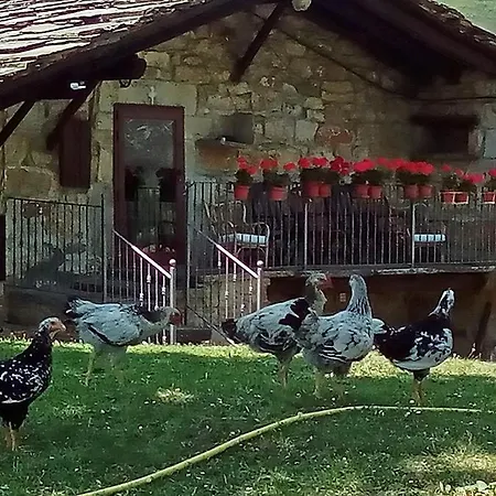 Casa Rincon Pasiego * Espinosa De Los Monteros