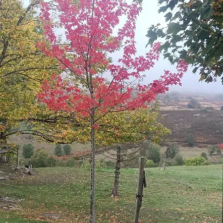 Casa Rincon Pasiego * Espinosa de los Monteros