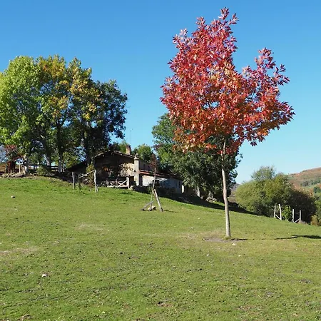 Casa Rincon Pasiego *