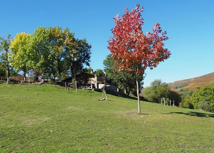 Casa Rincon Pasiego *